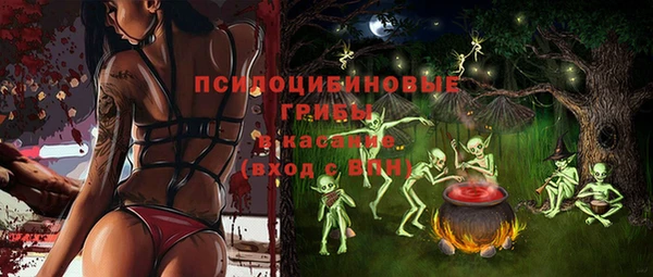 ГАЛЛЮЦИНОГЕННЫЕ ГРИБЫ Алексеевка