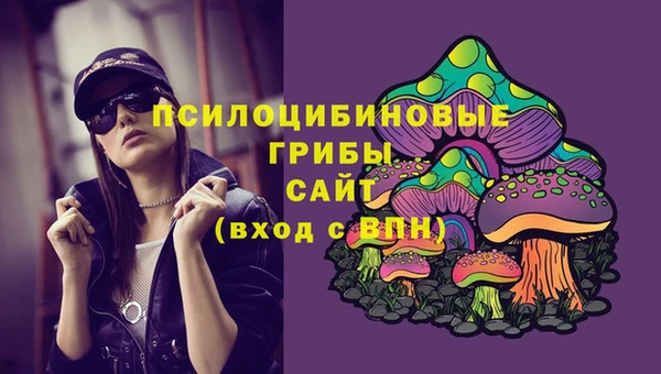 ГАЛЛЮЦИНОГЕННЫЕ ГРИБЫ Алексеевка