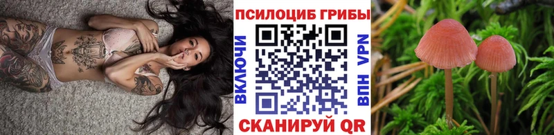 Галлюциногенные грибы Cubensis  Покачи 